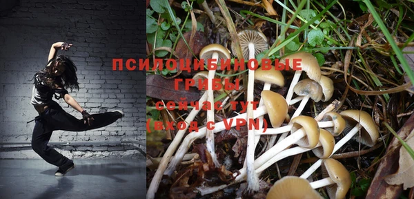 MESCALINE Кинешма