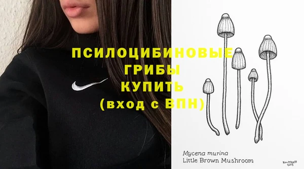 СК Карпинск