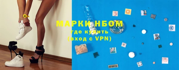 шишки Кодинск