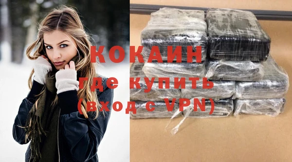 шишки Кодинск
