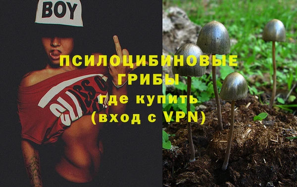 ПСИЛОЦИБИНОВЫЕ ГРИБЫ Касимов