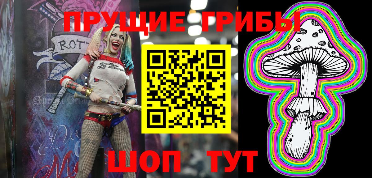 Псилоцибиновые грибы мицелий  Вход с VPN  Кировск  Галлюциногенные грибы Psilocybe 