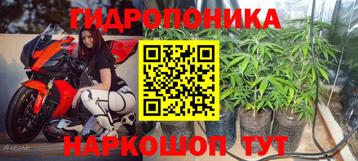 МАРИХУАНА планчик  МАРИХУАНА Bruce Banner  Канабис индика  Вход с VPN  Бошки марихуана THC 21%  Кировск 